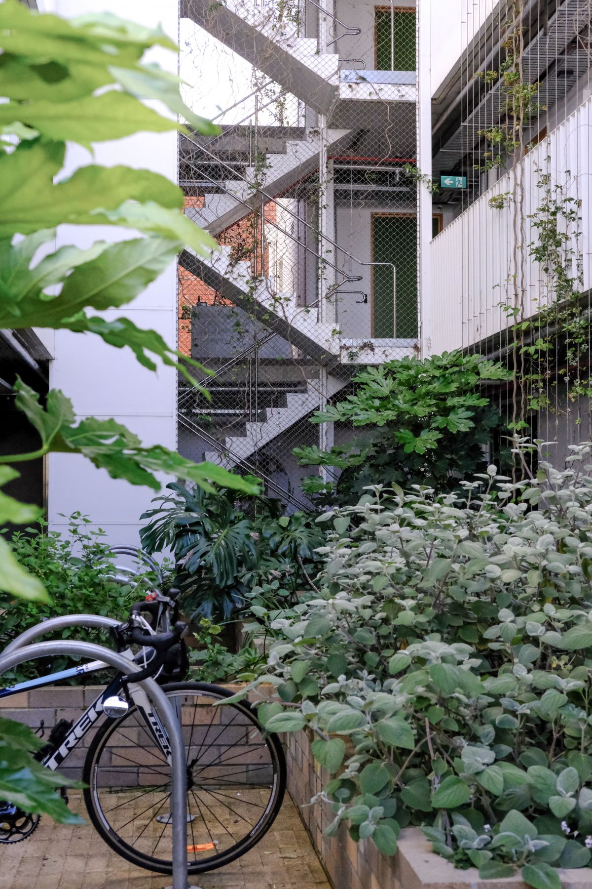 Photo showing exterior of the Nightingale complex in Ballarat on Davey Street. Depicts an external staircase. A bike is parked outside the building.