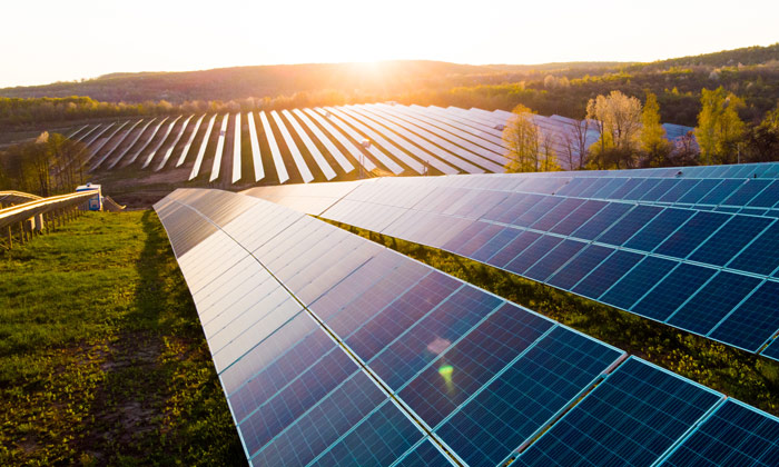 Solar farm