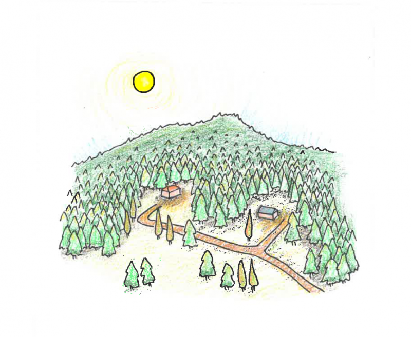 Drawing showing house in forested landscape with roads