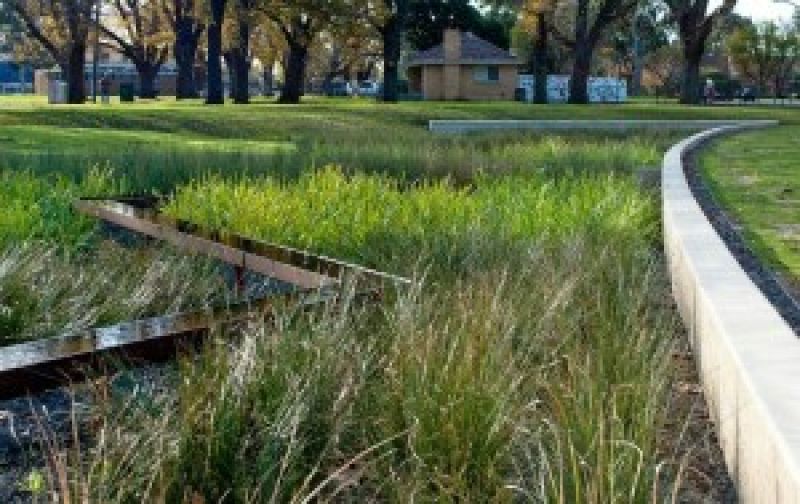 Image of Fitzroy Gardens showing sunken are with grasses as natural water capture and filter